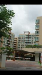 The Raintree (D21), Condominium #124504212